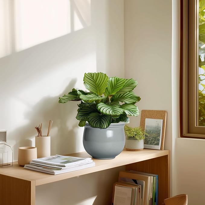 6 Inch Ceramic African Violet Pot, Easy Self Watering Pots - Image 7