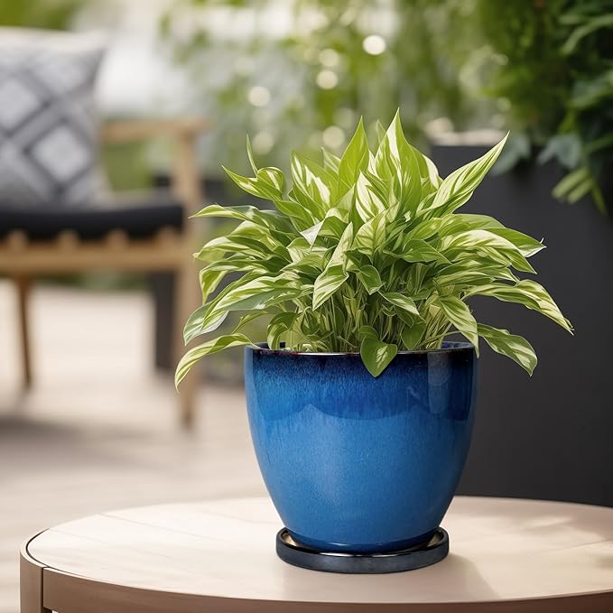Ceramic Planters for Indoor Plants - Image 5