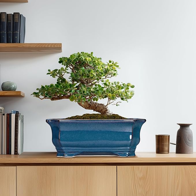Bonsai Tree Pot - Image 8