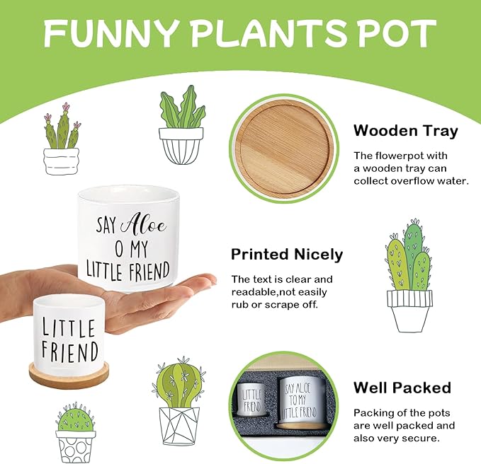 Say Aloe to My Little Friend Planter Pot, Funny Plant Pots, Aloe Plant Pot - Image 3