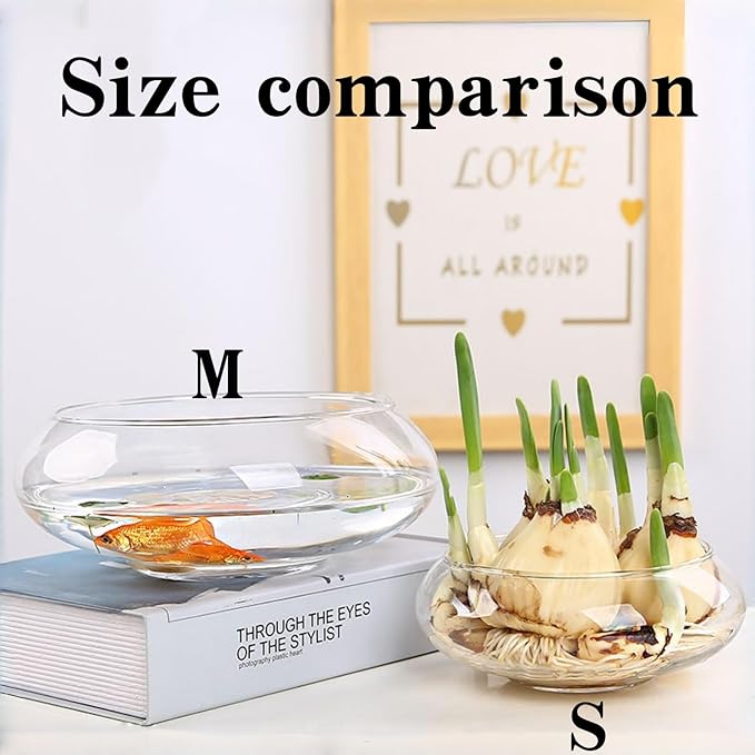 Glass Lotus Bowl Planter, 8 in Lotus Flower Bowl, Lotus Bowls - Image 4