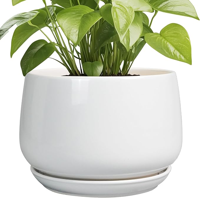 G EPGardening Ceramic Planter 9 Inch by GEPGardening