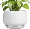 G EPGardening Ceramic Planter 9 Inch by GEPGardening