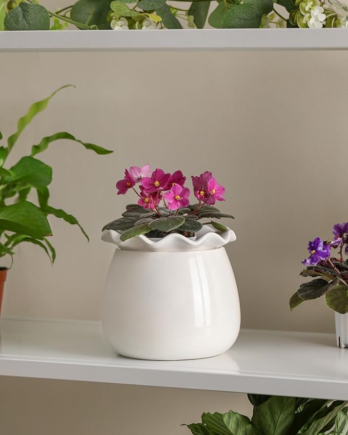 Self Watering Plant Pot, 6 Inch African Violet Pots Maintenance, Ceramic - Image 5