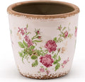 Vintage Ceramic Planter with Drainage Hole, Plastic Tray & Mesh, 5.5 Inch by TEWEIQI