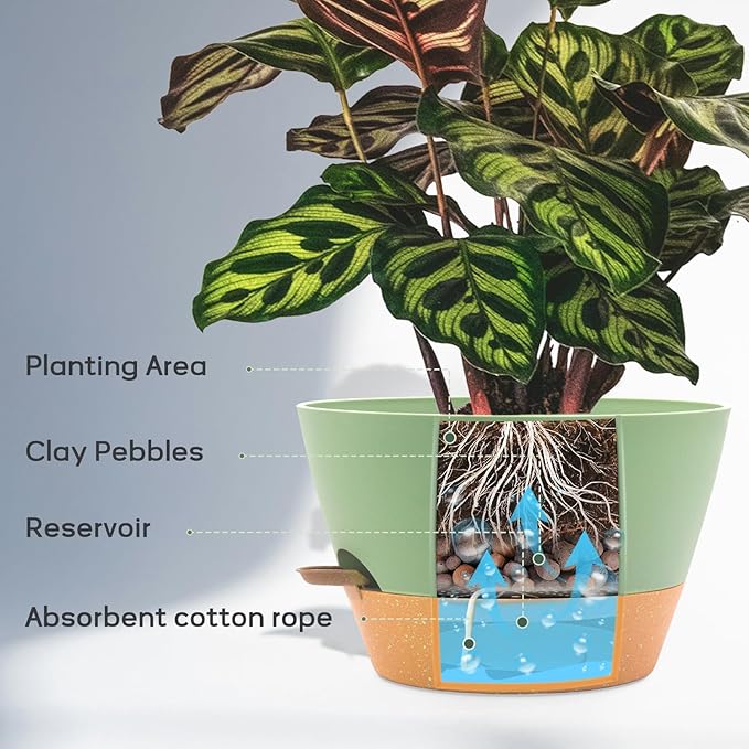 12-Inch Self Watering Planters - Image 5