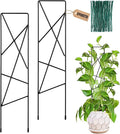 17.5 Inch Indoor Plant Trellis for Climbing Plants, Metal Trellis, Small Garden by OYOEETD