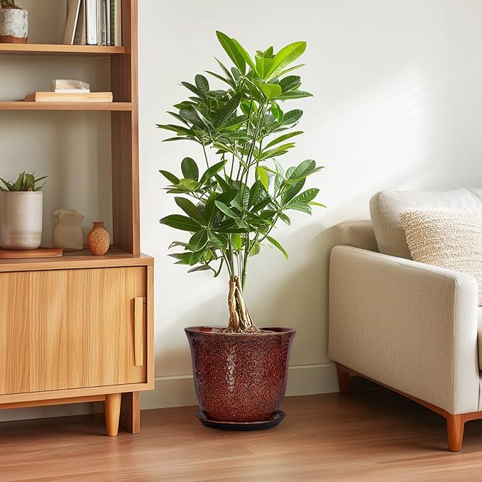 10 Inch Plant Pot - Image 4