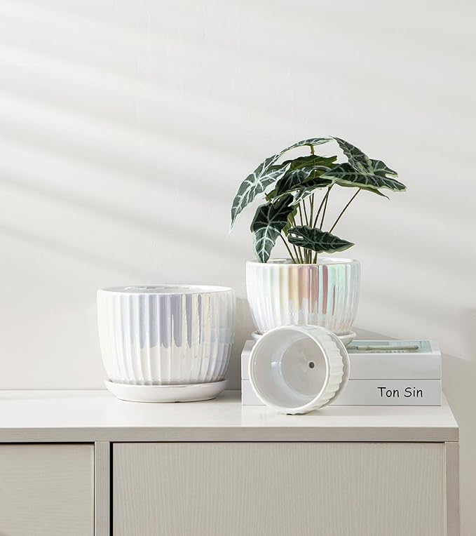 Ton Sin White Plant Pots, Pearl Gold Ceramic Flower Pots 4"+5"+6" Inch Indoor - Image 4
