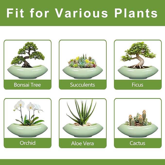 Ceramic Bonsai Pots - Image 7