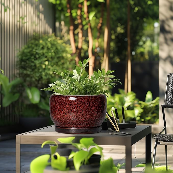 SQOWL Ceramic Flower Pots - Image 5