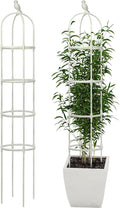 Garden Trellis for Climbing Plants, Rustproof Metal Pipe by CJGQ