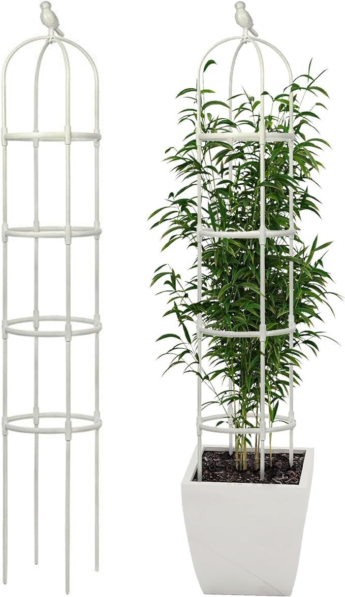 Garden Trellis for Climbing Plants, Rustproof Metal Pipe by CJGQ