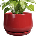 G EPGardening Ceramic Plant Pots by GEPGardening