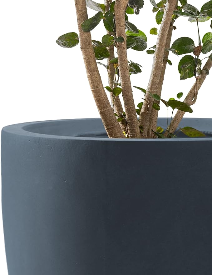 Kante 20", 13.4" Dia Round Concrete Planters, Outdoor Indoor Modern Decorative - Image 5