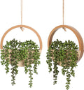 Floweroyal 2pcs Artificial Succulents Hanging Plants 12.2'' Fake String of by FloweroyalCrafts