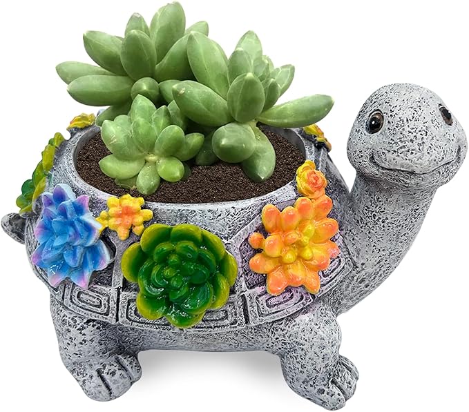 Turtle Succulent Planter, Resin Material, Indoor/Outdoor Use, Cute Decor by ASDFG