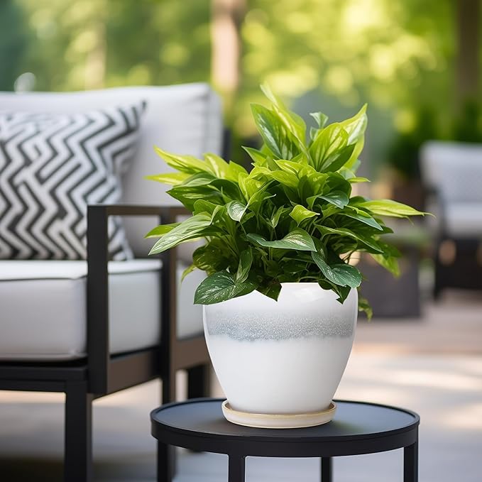 Ceramic Pots for Plants - Image 4