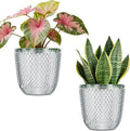 QCQHDU 2 Pack Self Watering Pots, 5.7 Inch Flower Pots by QCQHDU