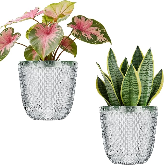 QCQHDU 2 Pack Self Watering Pots, 7.2 Inch Flower Pots by QCQHDU