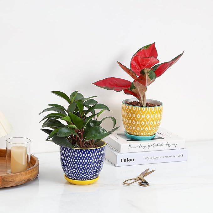 Selamica Ceramic Plant Pots, 5.6 Inch Flower Pots - Image 7