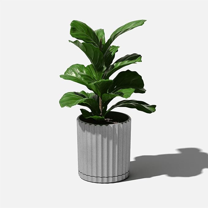 Veradek Demi Series Demi 6" Planter w/Tray - Image 8
