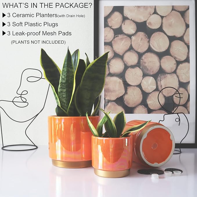 Gepege Ceramic Indoor Pots for Plants, Rainbow Pearl Glaze Planter - Image 3