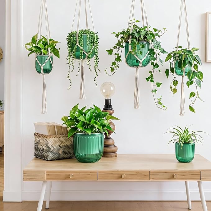 6 Pack Self Watering Hanging Planters Indoor Flower Pots Visible Water Level - Image 5