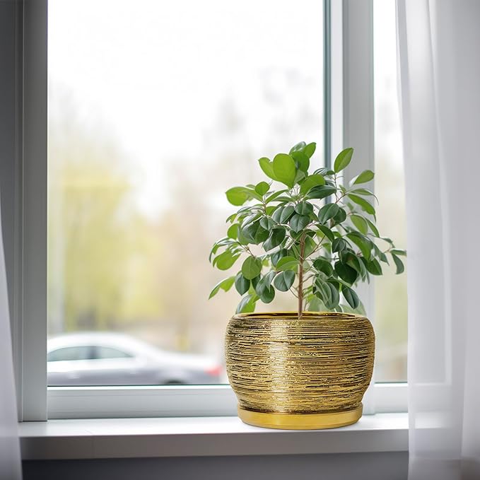 SQOWL Ceramic Flower Pot - Image 4