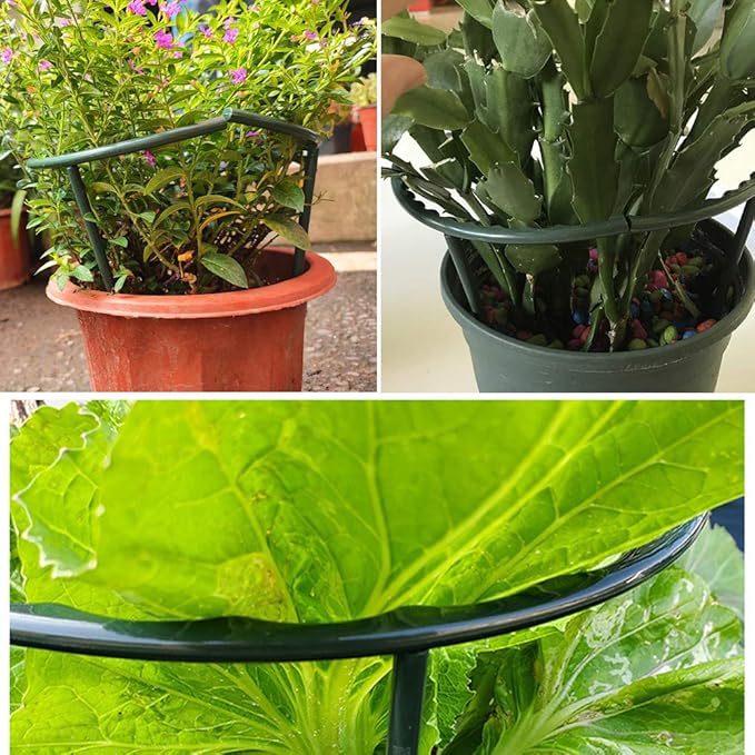 Mwellewm 10 Pack Plant Support Plant Stakes Metal Half Round Search Support - Image 7
