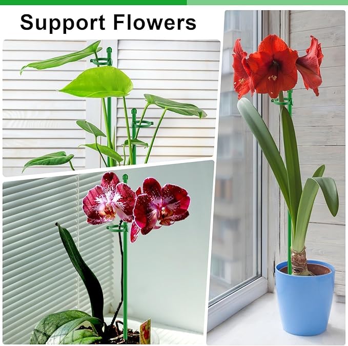 Plant Support Stakes for Indoor SupKing Orchid Sticks - Image 6