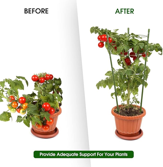 4 Pack Plant Support Tomato Cages - Image 5