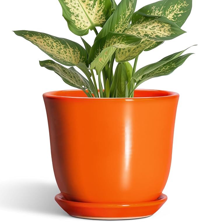 5.6 Inch Plant Pot by SUNPOTFOR