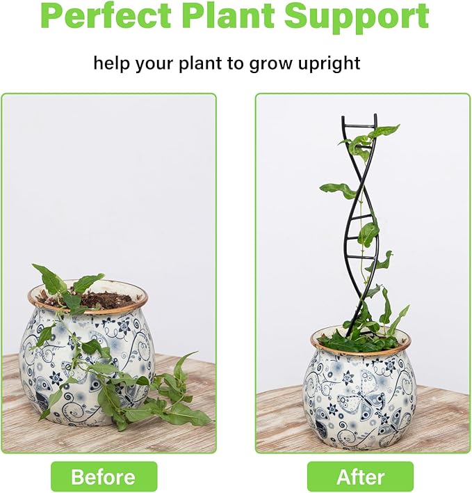 DNA Spiral Plant Trellis Indoor - Image 3