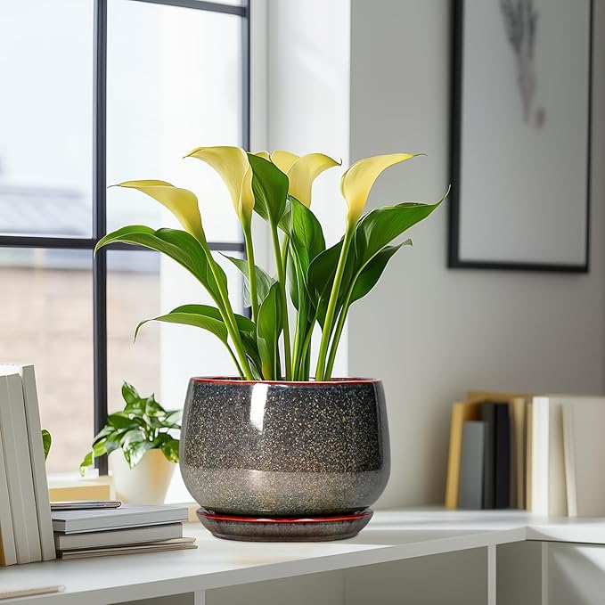 G EPGardening Ceramic Planters - Image 6