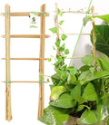 Avalution 5 Pack Bamboo Trellis by Avalution