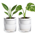 D'vine Dev 4 Inch Design Self Watering Planter by DvineDevPlanterPotsandStand
