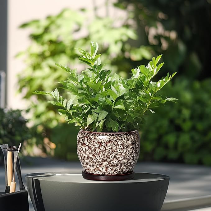 SQOWL Ceramic Plant Pots - Image 4