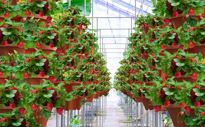 Strawberry Stackable Planter, Vertical Tower Garden, 5 Tiered Stacking Herb - Image 9