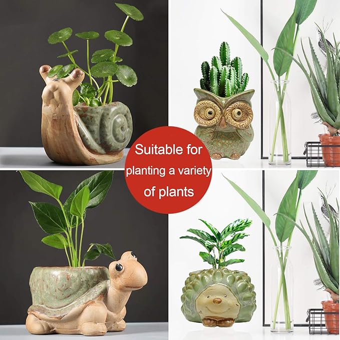 Small Ceramic Succulent Pot - Image 2