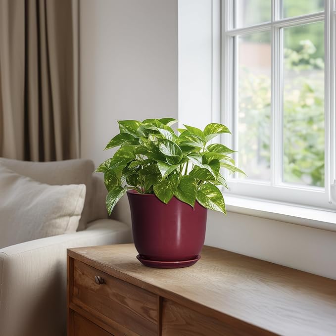 Ceramic Pots for Plants - Image 5