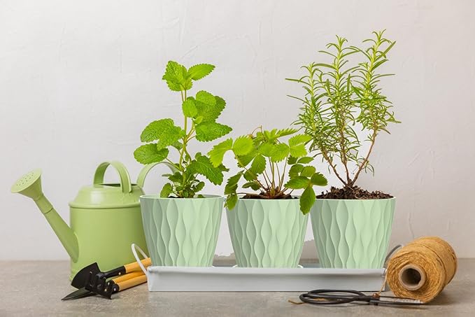 6 Inch Plant Pots, 6 Pack Indoor Flower Pots, Planters - Image 5