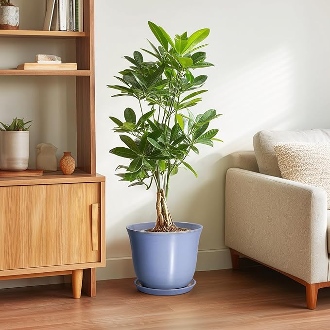 Ceramic Plant Pots - Image 4