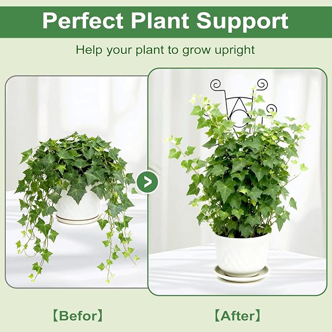 Stackable Metal Trellis for Climbing Plants Outdoor & Indoor - Image 4