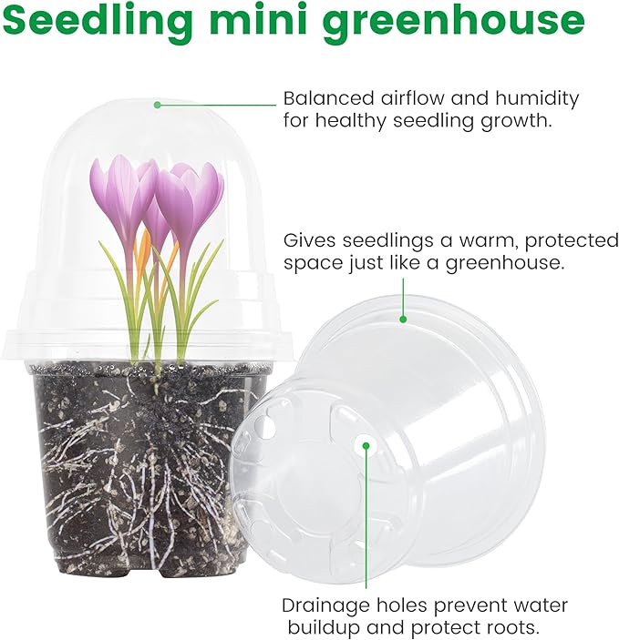 36 Packs 5/4/3.5 Inch Clear Nursery Pots - Image 3