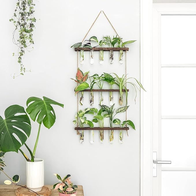 Mkono Plant Propagation Tubes, 3 Tiered Wall Hanging Terrarium - Image 5