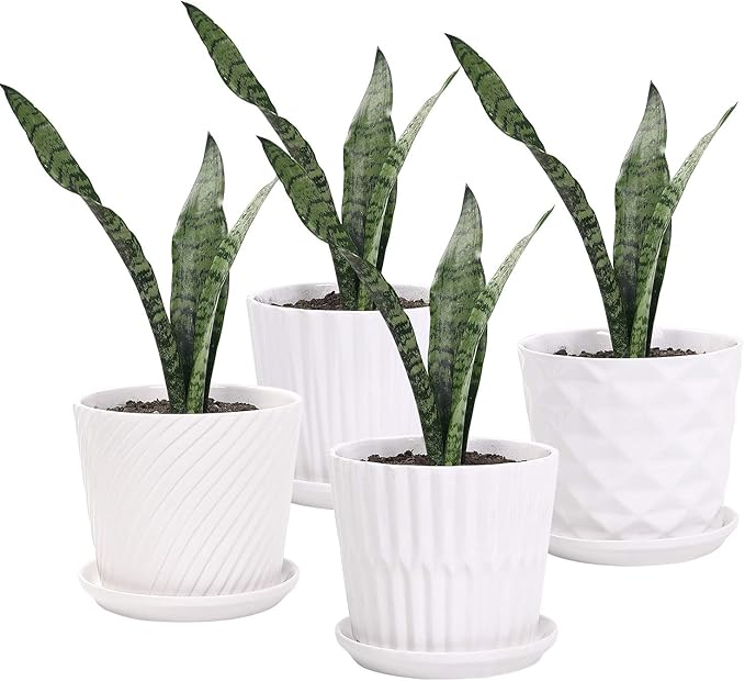 Plant Pots - 5.5 Inch Cylinder Ceramic Planters by sietpoek