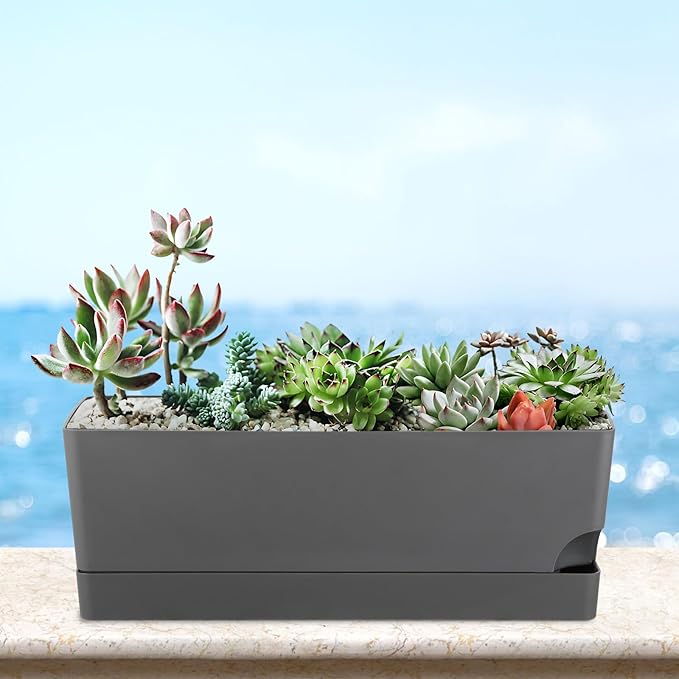 2 Pack Rectangle Self Watering Pots - Image 8