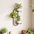 Wall Plant Holder 3 Tier Window Plant Shelves Metal Plant Wall Hanger by Laposso