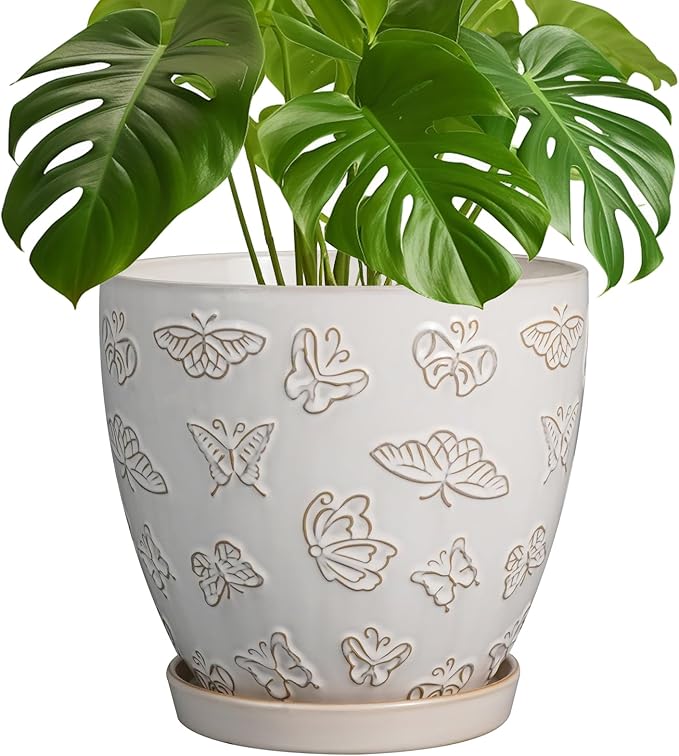 Ceramic Planter 8 Inch by EPFamily